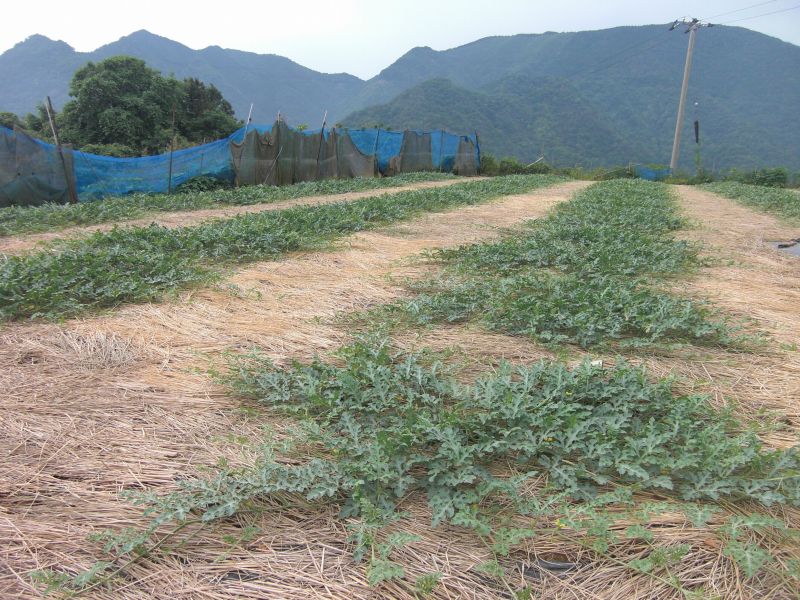 $松山テナント情報館のブログ