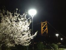 $松山テナント情報館のブログ