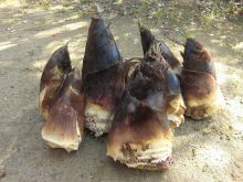 $松山テナント情報館のブログ