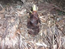 $松山テナント情報館のブログ