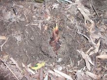 $松山テナント情報館のブログ