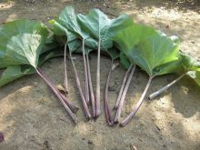 $松山テナント情報館のブログ