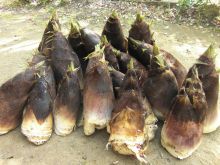 $松山テナント情報館のブログ